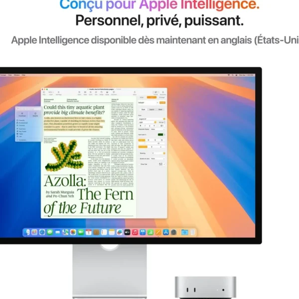 Ordinateur Apple Mini M4 16Go RAM 512Go CPU 10 GPU 10