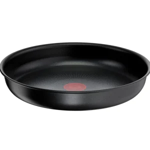 Poêle induction INGENIO recy cook 26 cm