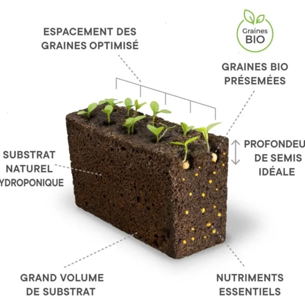 Recharge jardin d'intérieur Mini Piments