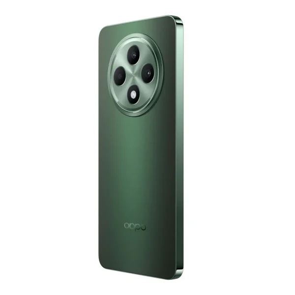 Reno 12FS 5G 512Go+Coque - Vert