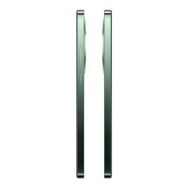 Reno 12FS 5G 512Go+Coque - Vert