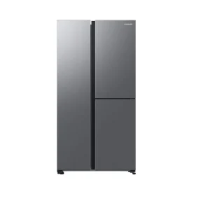 Réfrigérateur américain RH69CG895DS9, 645 L, Froid ventilé No Frost, D