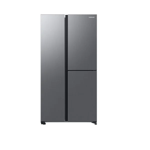 Réfrigérateur américain RH69CG895DS9, 645 L, Froid ventilé No Frost, D