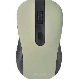 Souris sans fil