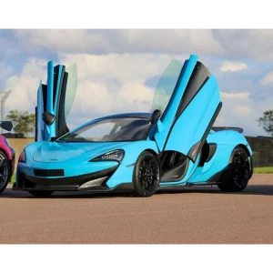 Stage de pilotage : 5 tours sur le circuit de La Ferté-Gaucher en McLaren 600LT - Coffret Cadeau Sport & Aventure