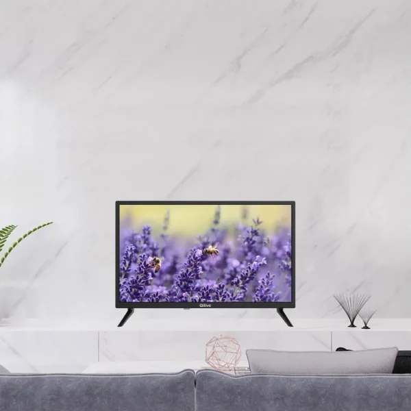 TV HD LED Smart TV Q24HS241B