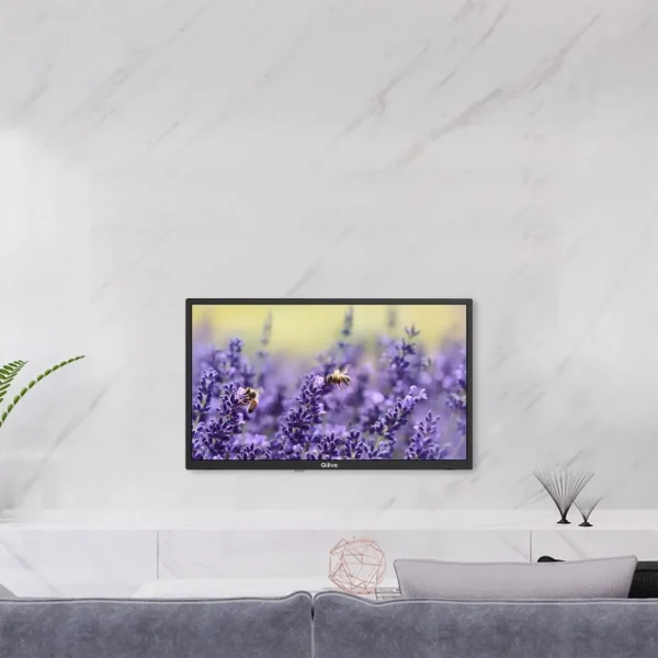 TV HD LED Smart TV Q24HS241B